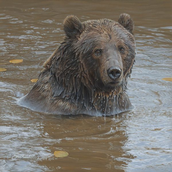 Original Paintings by Daniel Smith Wildlife Artist | Daniel Smith Wildlife