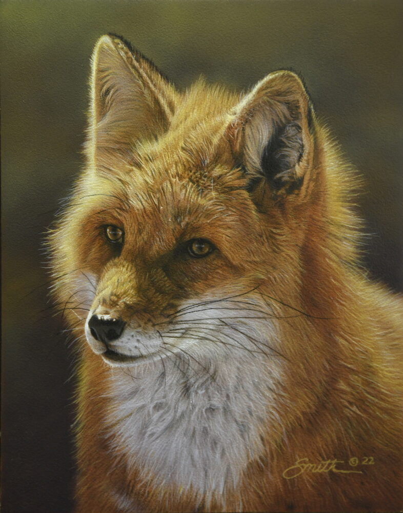 The Official Website of Wildlife Artist and African Animal Painter Dan ...