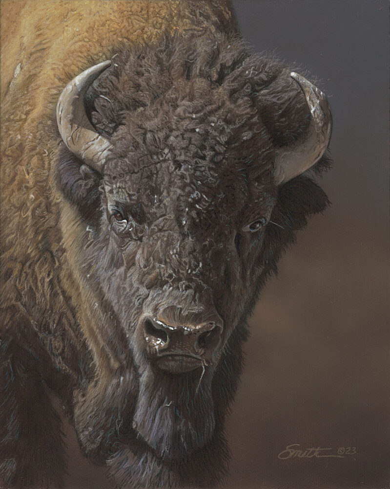 The Official Website of Wildlife Artist and African Animal Painter Dan ...